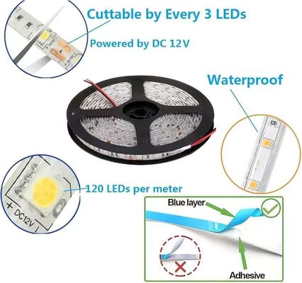 Ευέλικτα φώτα LED 600 μονάδες Φώτα LED Αδιάβροχα 12 Volt Φώτα LED Πακέτο Φώτων Πακέτο 16,4ft/5m για Χρονιμότητα Σπίτι Πάρτι εσωτερική εξωτερική διακόσμηση Αδιάβροχο λευκό 1 πακέτο