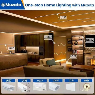 Εξωτερική Ανερόπλεα 12/24V Σιλικόνη LED Light Strip Για οικιακή διακόσμηση Neon LED Strip Lights White 16.4ft/5m Neon Light Strip 12V Σιλικόνη Ανερόπλεα Ευέλικτο LED Neon Rope Lights Για υπνοδωμάτιο Φεστιβάλ