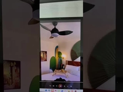 Φωτισμός ανεμιστήρα οροφής καλής ποιότητας